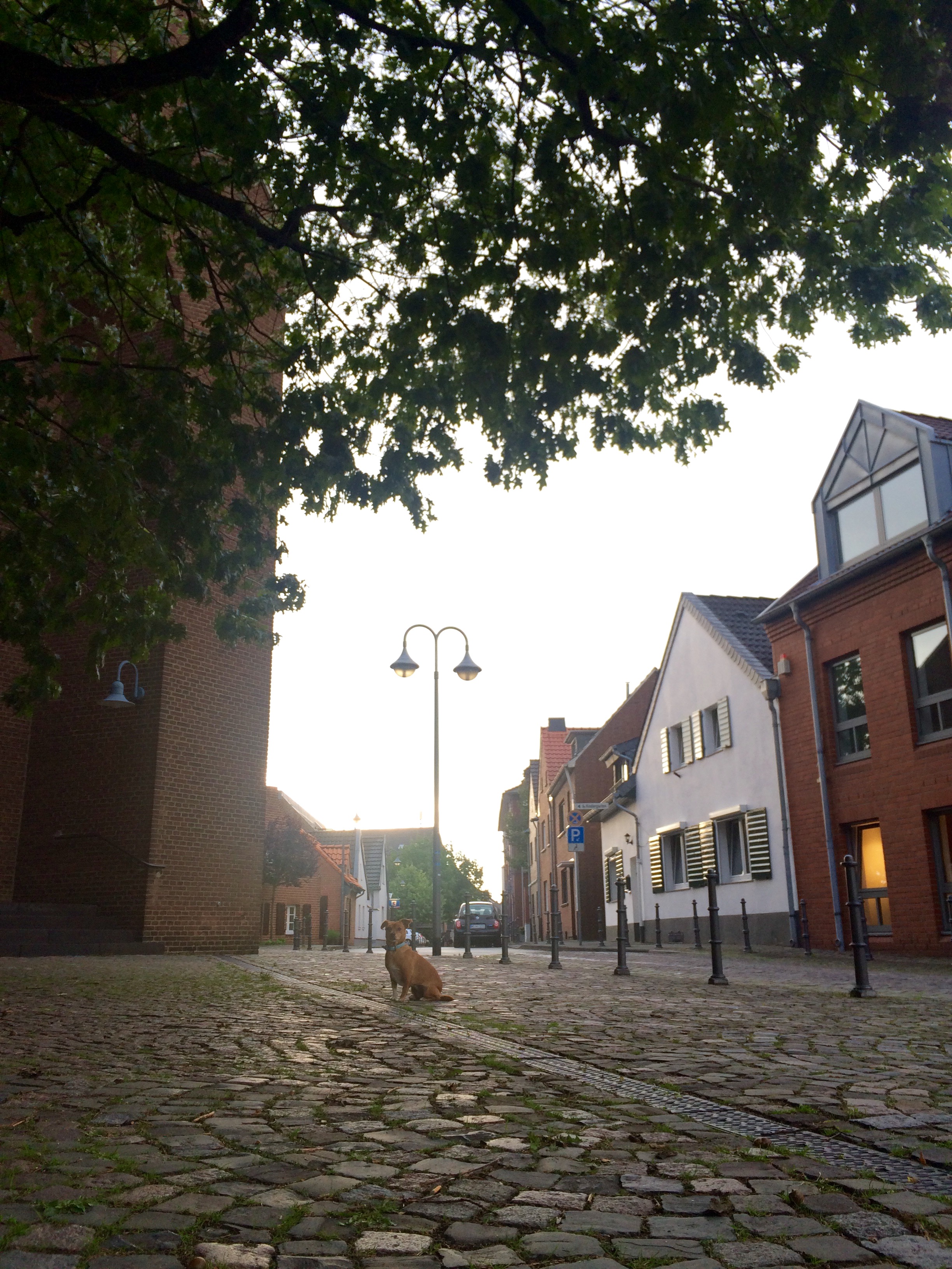 Neuss